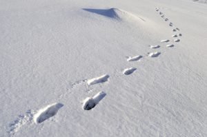 Tracking Foot Steps