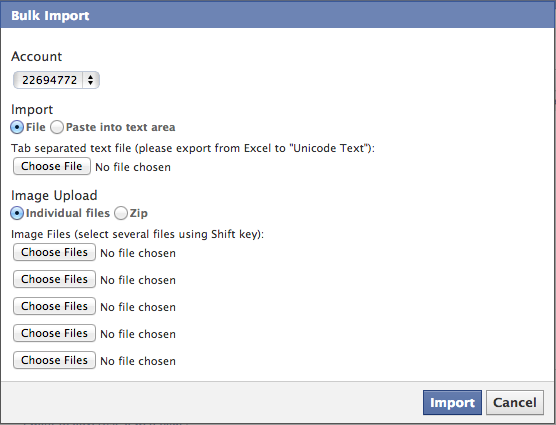 Facebook Power Editor Bulk Editor